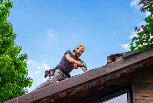 Best Chimney Flashing Repair  in Eunice, LA