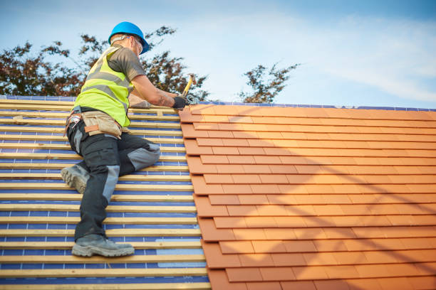 Best Roof Maintenance and Cleaning  in Eunice, LA